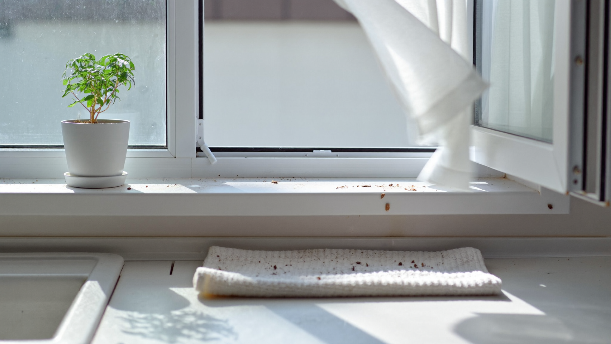 Blutwerte und das Immunsystem: was messbar ist und was nicht