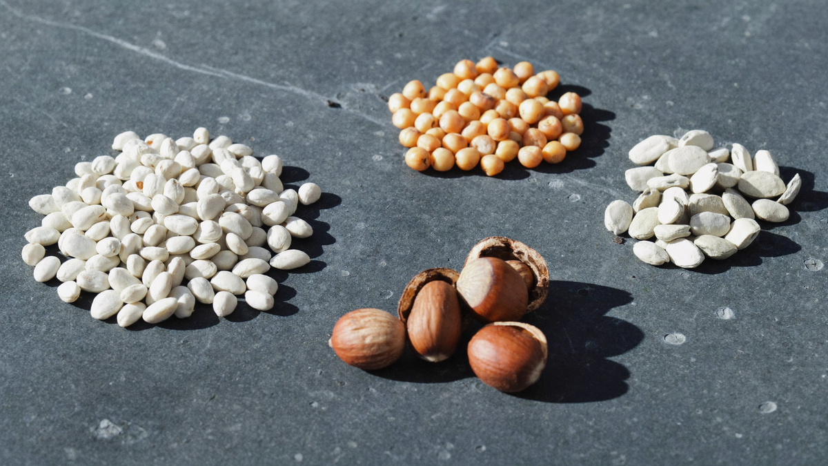 Vegane Ernährungspyramide: Aufbau und die kritischen Nährstoffe