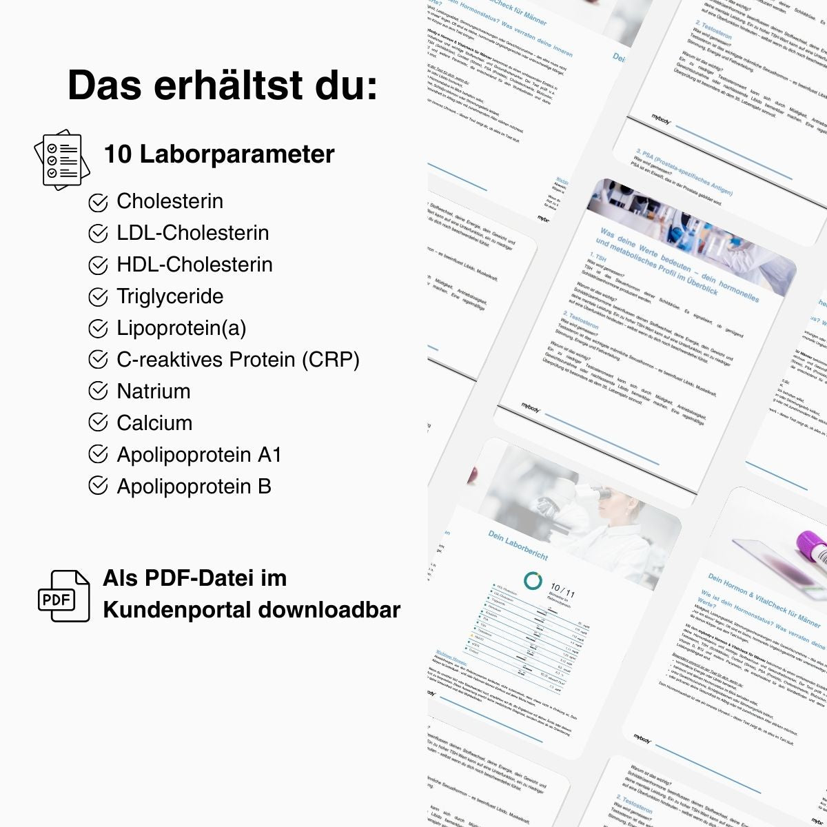 Cardio Risk Check | Herz-Kreislauf Risiko-Test - mybody®x