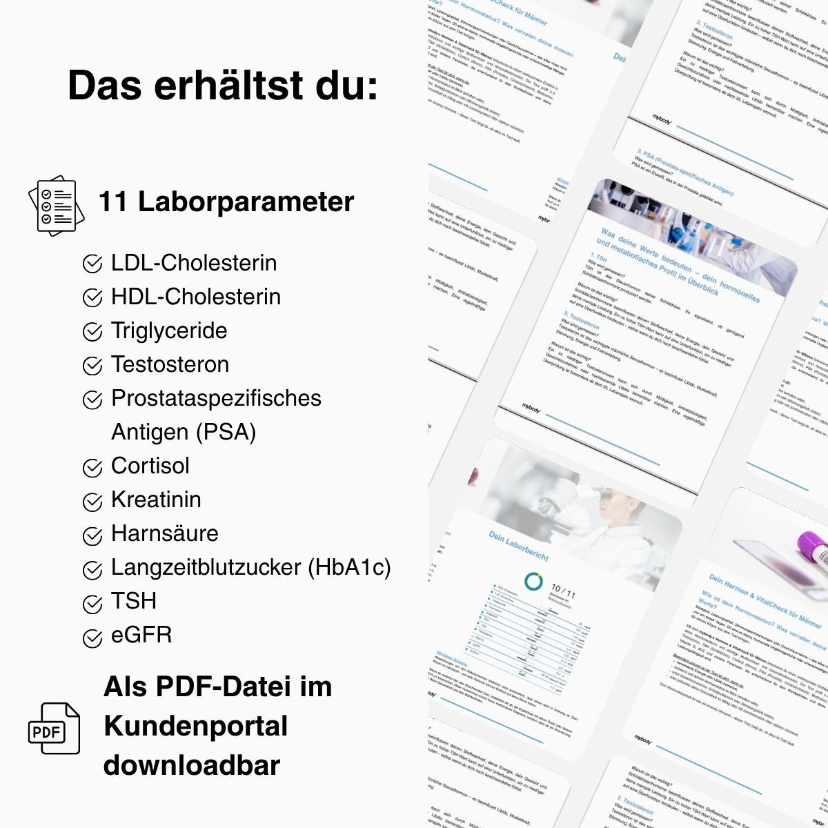 Hormon & VitalCheck für Männer - mybody®x