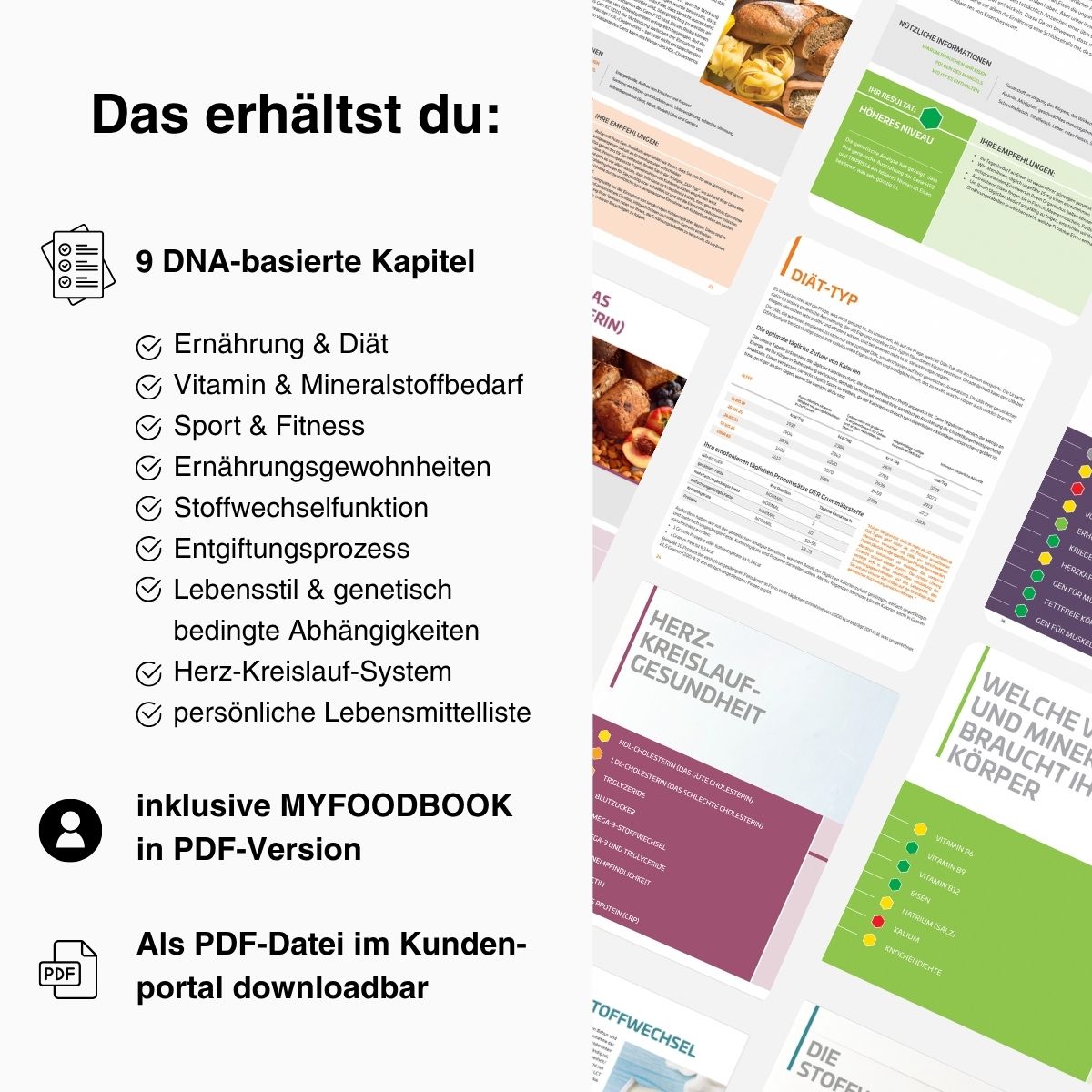 DNA Stoffwechselanalyse | NutriCare + MY FOODBOOK - mybody®x
