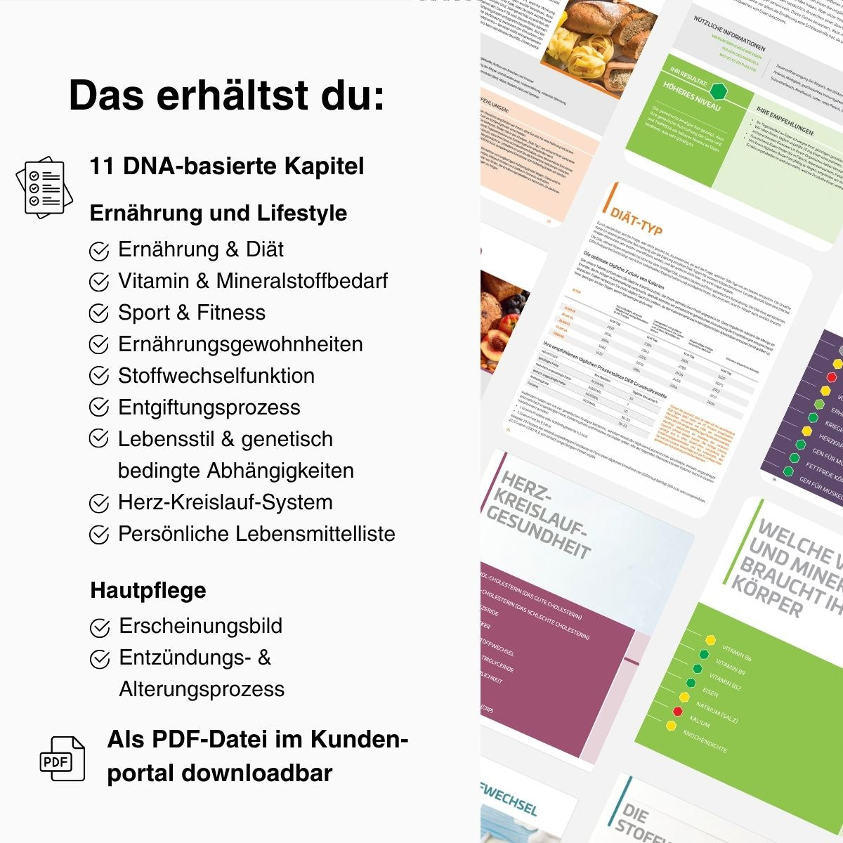 Longevity | ALL IN ONE DNA-Test - mybody®x