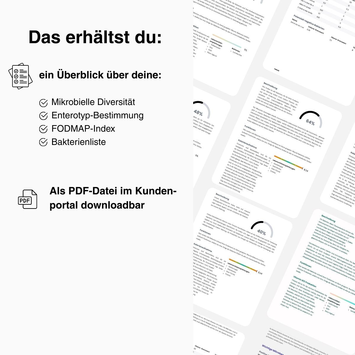 Darmflora MIKROBIOM-Test Basic - mybody®x