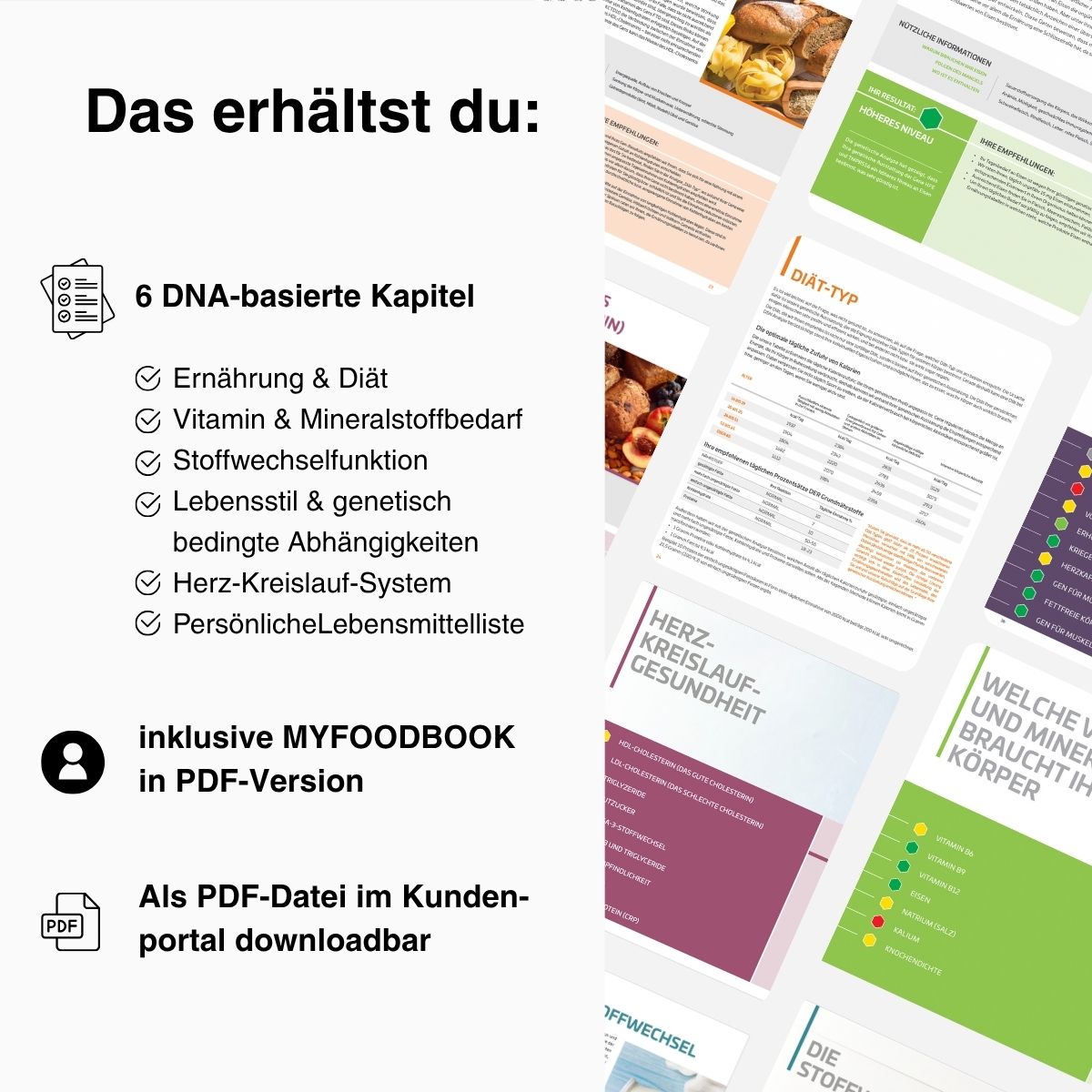 DNA Stoffwechselanalyse | Weightloss + MY FOODBOOK - mybody®x
