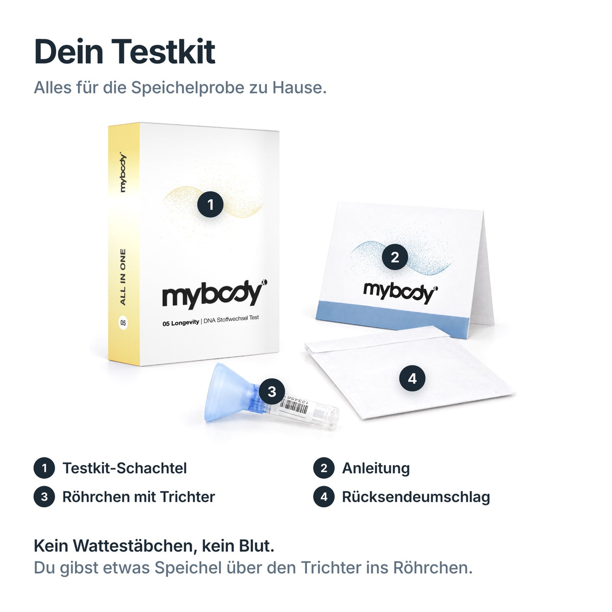 Testkit des Longevity DNA-Tests: Schachtel, Anleitung, Speichelröhrchen mit Trichter und Rücksendeumschlag
