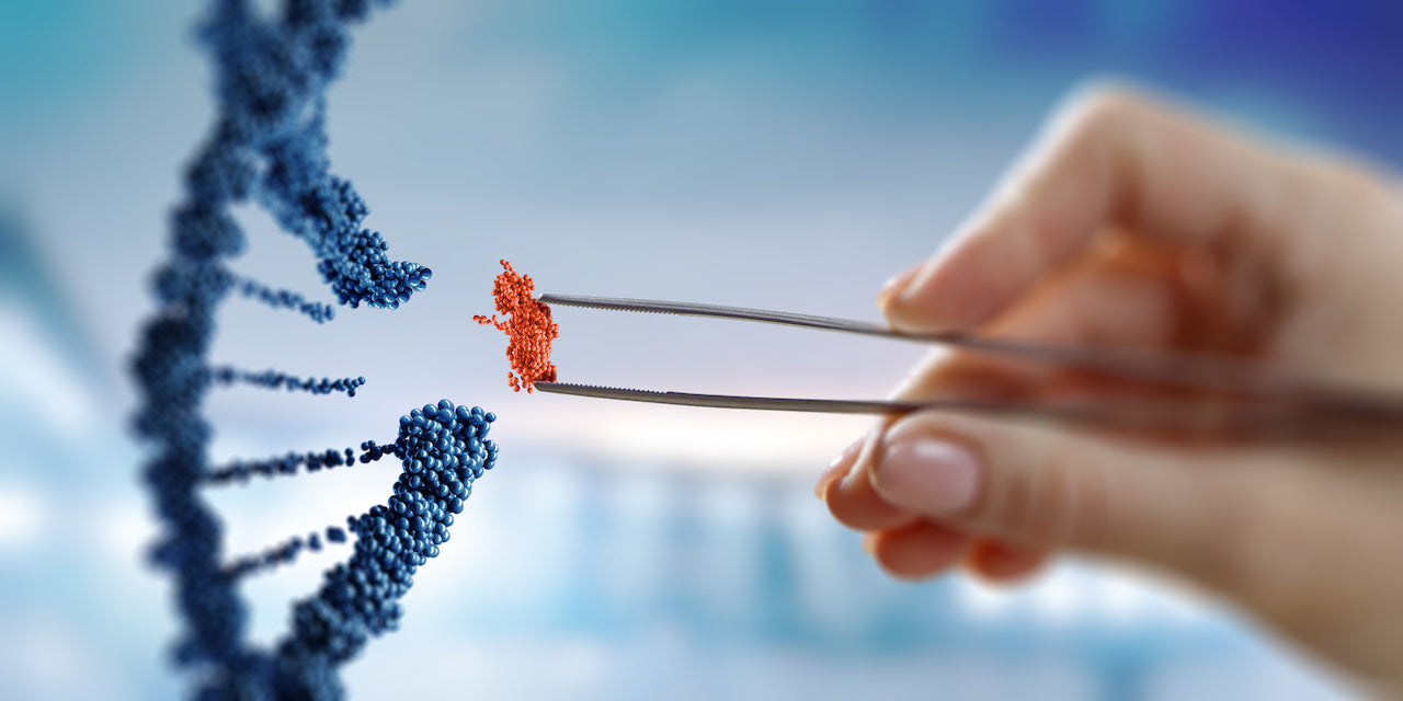 Was ist ein DNA-Test