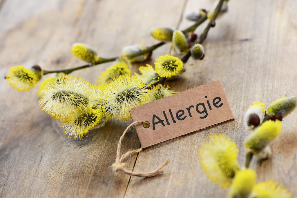 Allergietest unter Antihistaminika? Das solltest du unbedingt wissen!