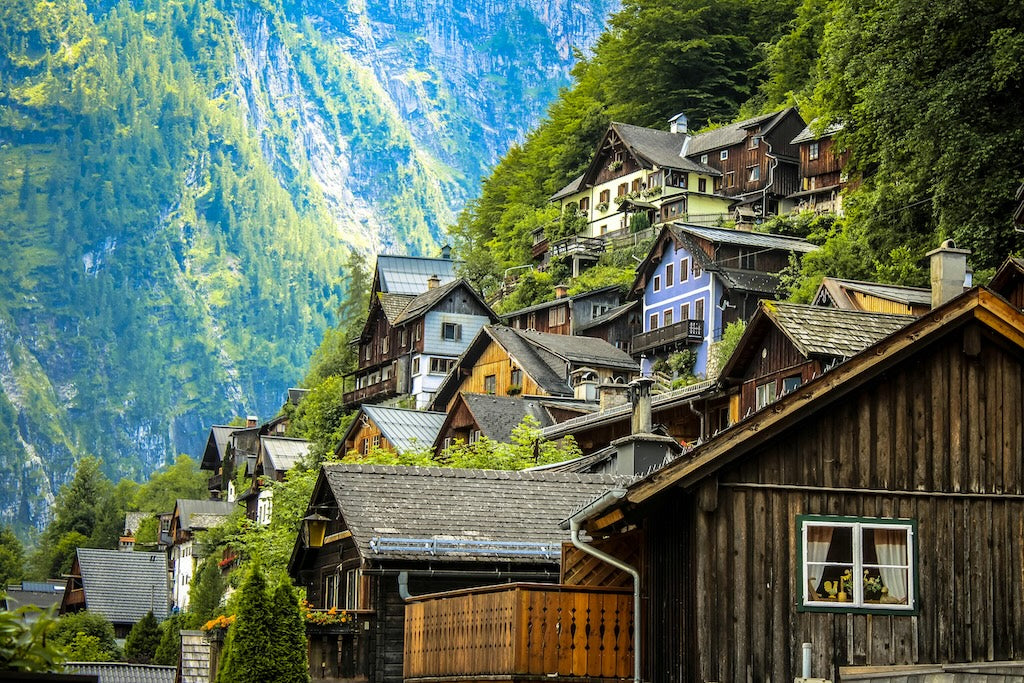 Vegetarisch leben in Österreich – passt das überhaupt zu meinem Körper? Was ein DNA-Test über deine Ernährung verrät