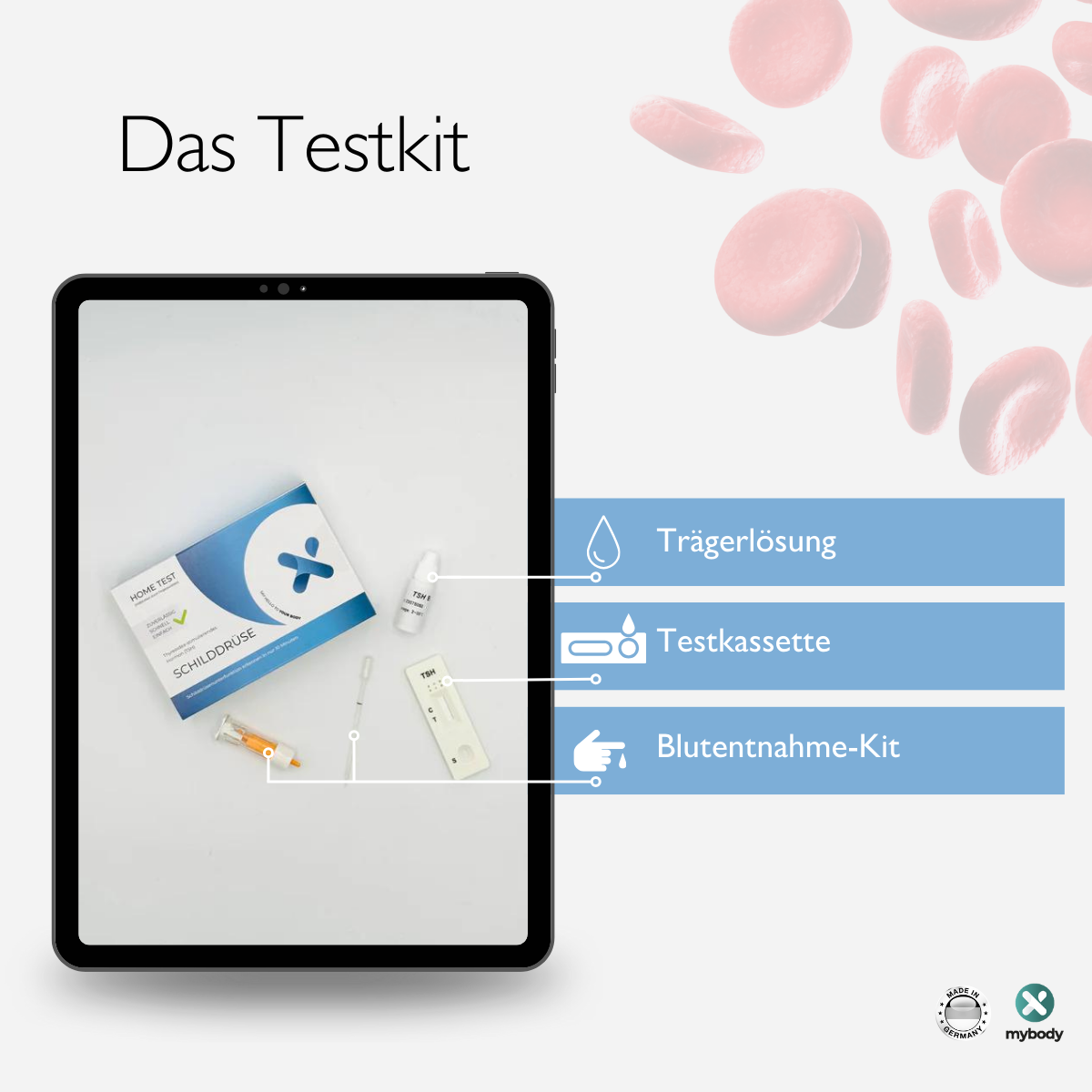 Schilddrüsen-TSH Wert Selbsttest