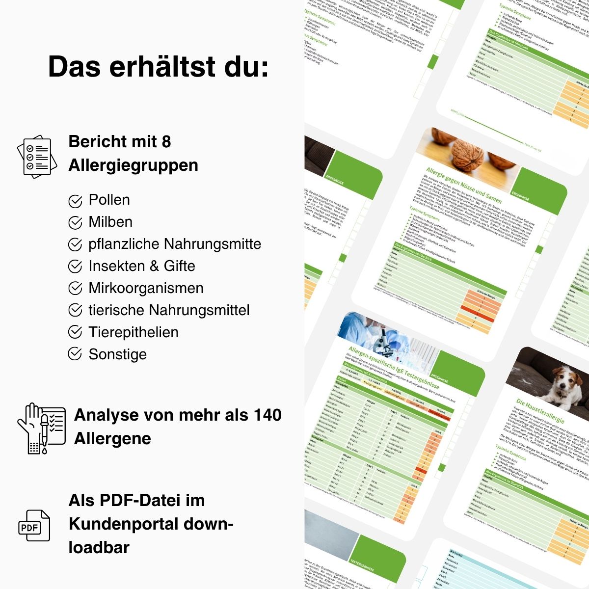Allergie IgE-Blut Test - mybody®x