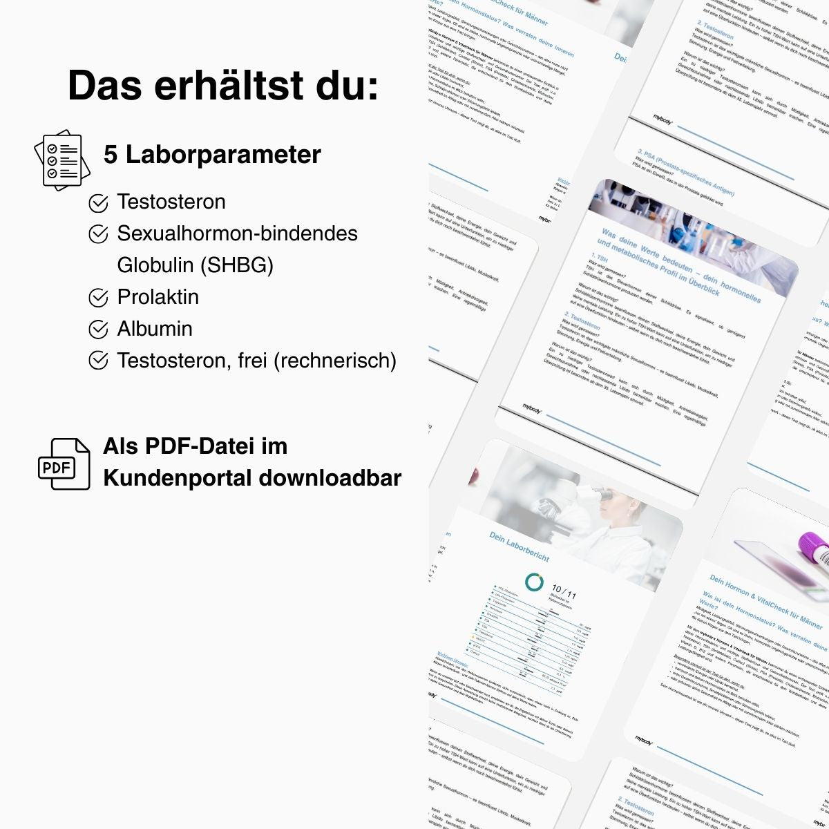 Body-Balance Check | Testosteron-Test - mybody®x