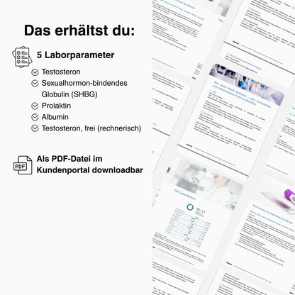 Body-Balance Check | Testosteron-Test - mybody®x