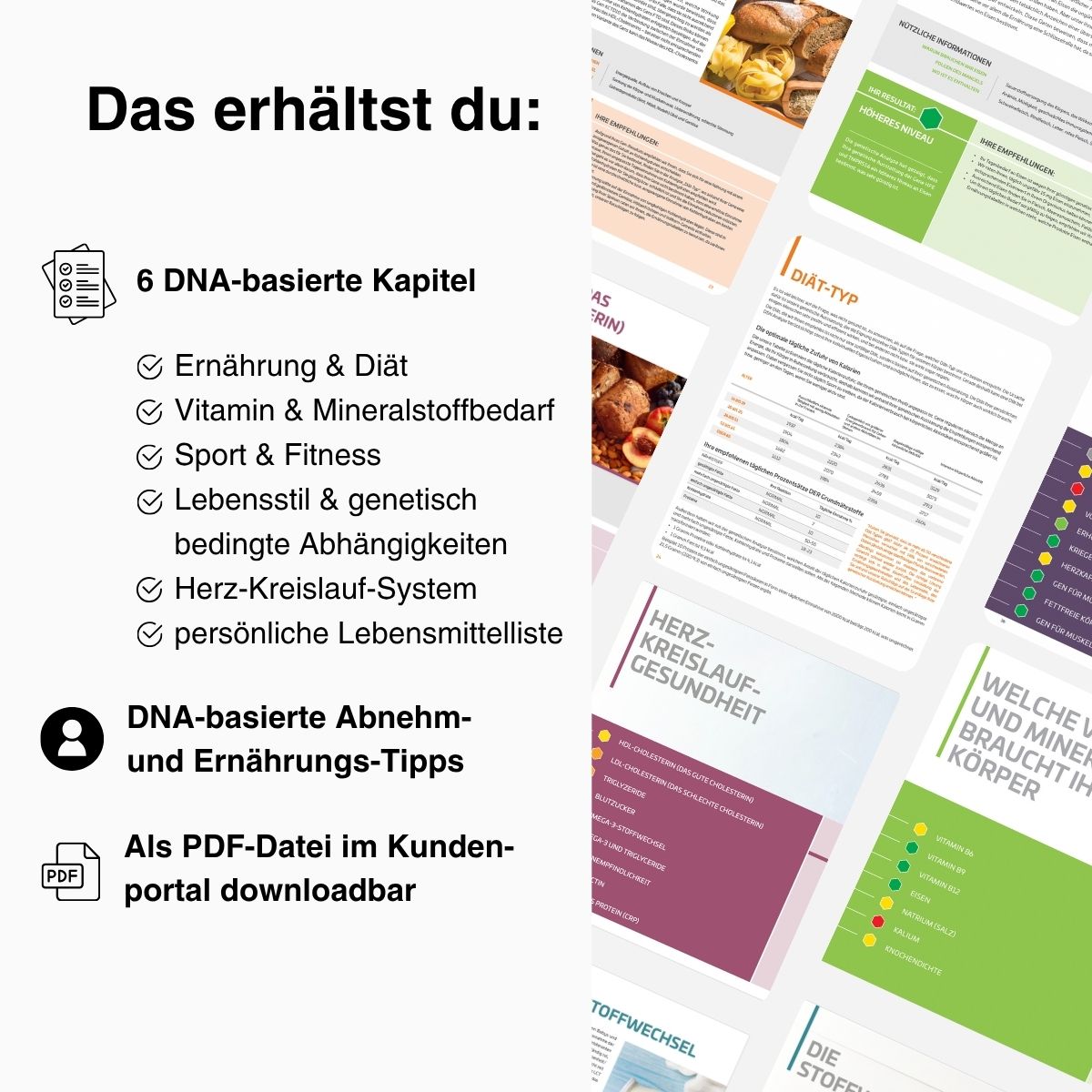 Fitness | VITALITY DNA-Test - mybody®x