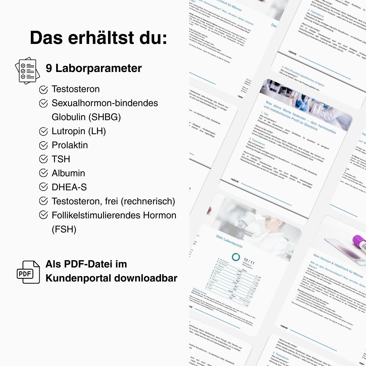 Hormone Check | Männer-Hormon-Test - mybody®x
