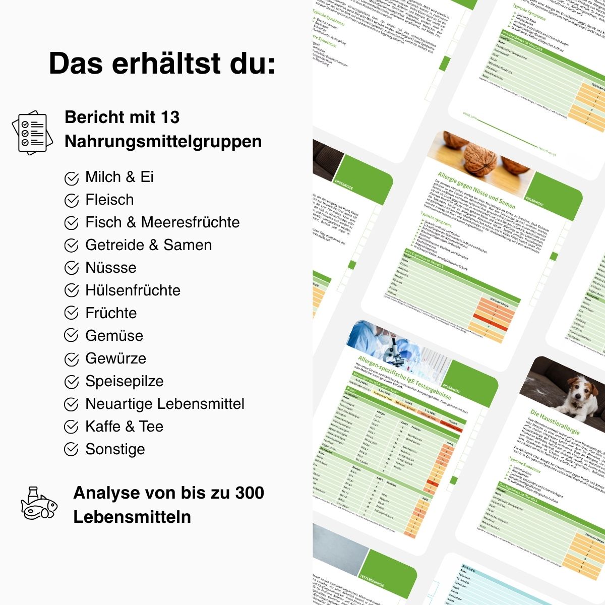 Kombi-Check Bluttest - mybody®x