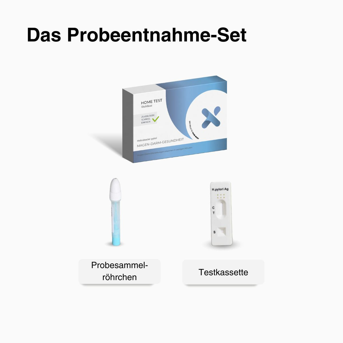 Magen-Darm-Gesundheit - mybody®x