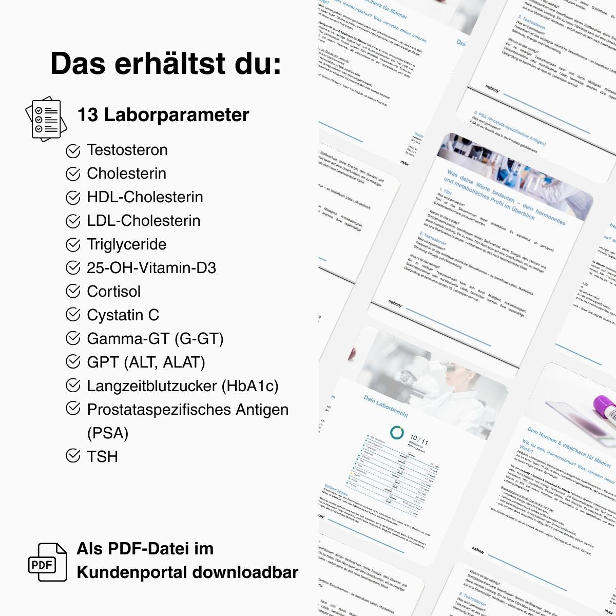 Men’s Wellness Check | Männer-Gesundheits-Test - mybody®x