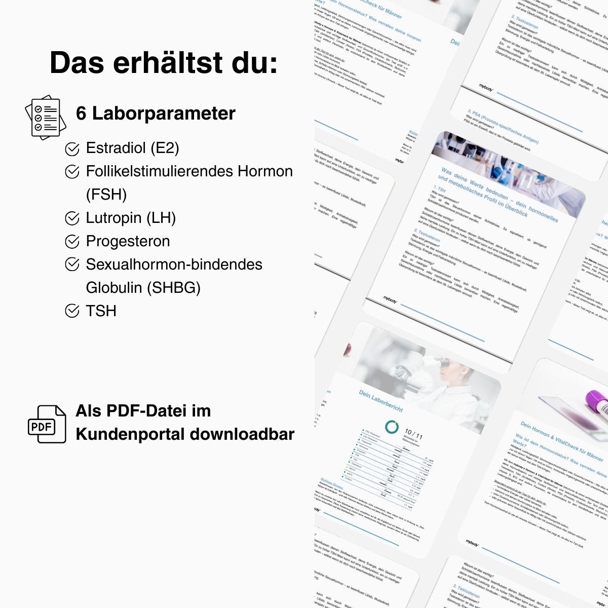Menopause Check | Wechseljahre Hormon-Test