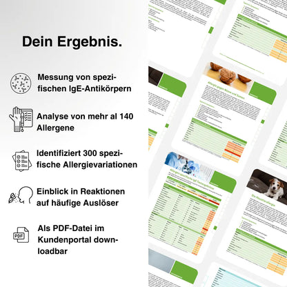 Allergie IgE-Blut Test