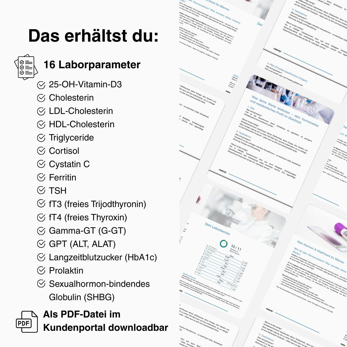 Women’s Wellness Check | Frauen-Gesundheits-Test