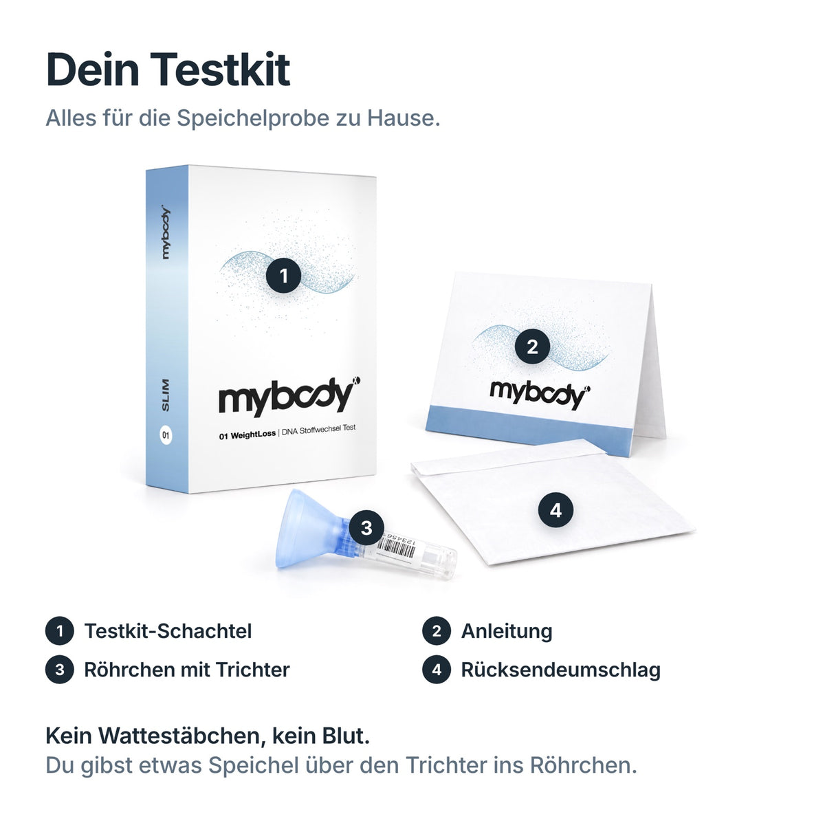 Testkit des WeightLoss SLIM DNA-Tests: Schachtel, Anleitung, Speichelröhrchen mit Trichter und Rücksendeumschlag