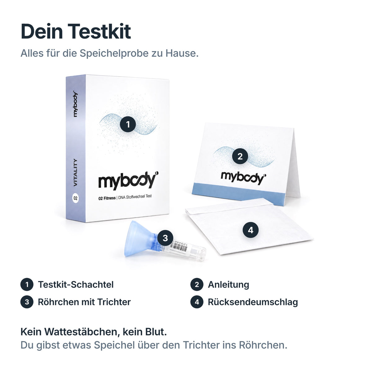 Testkit des Fitness VITALITY DNA-Tests: Schachtel, Anleitung, Speichelröhrchen mit Trichter und Rücksendeumschlag