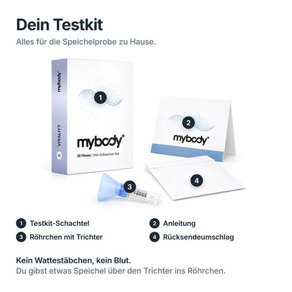 Testkit des Fitness VITALITY DNA-Tests: Schachtel, Anleitung, Speichelröhrchen mit Trichter und Rücksendeumschlag