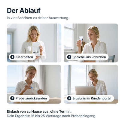 Ablauf des Longevity DNA-Tests in vier Schritten: Kit erhalten, Speichelprobe, Rückversand, Ergebnis im Kundenportal